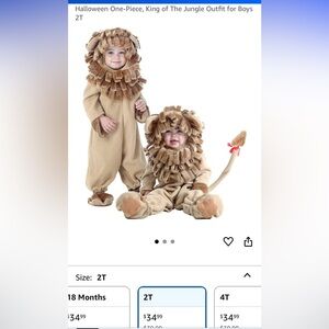 Adorable Lion Costume, 2T
